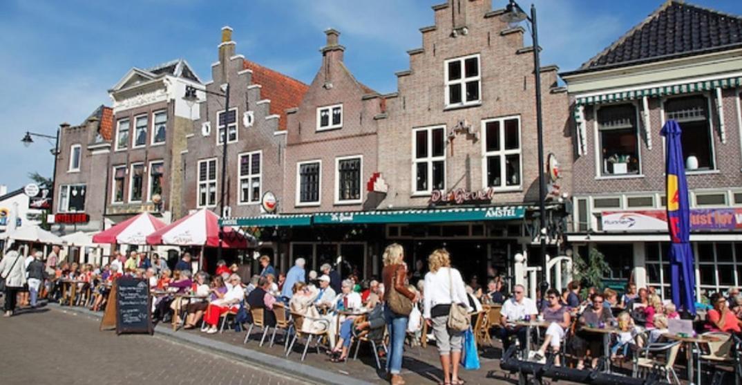 Huisje Britt Met Grote Tuin En Veel Privacy Dirkshorn Exteriör bild