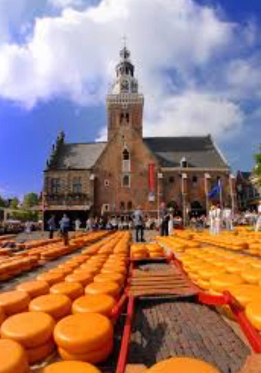 Huisje Britt Met Grote Tuin En Veel Privacy Dirkshorn Exteriör bild