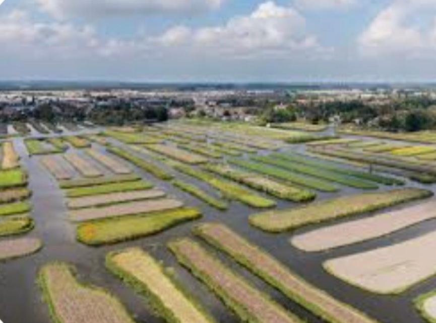 Huisje Britt Met Grote Tuin En Veel Privacy Dirkshorn Exteriör bild